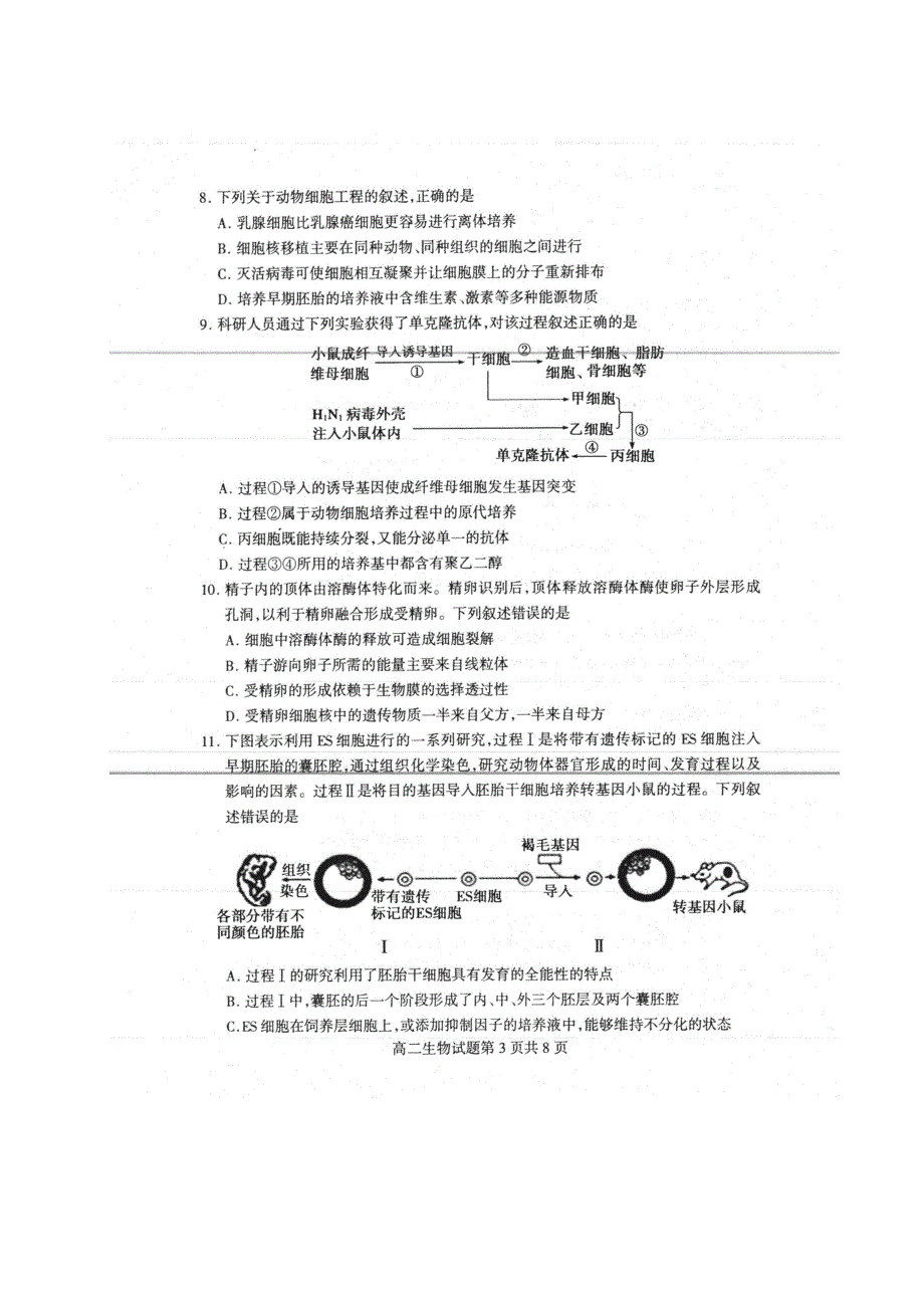 山东省临沂市兰陵县2019-2020学年高二生物下学期期中（5月）试题（扫描版）.doc_第3页