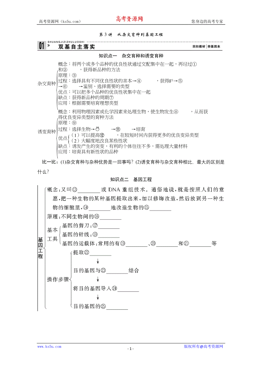 2013届高考生物一轮复习讲义：2.3.3从杂交育种到基因工程.doc_第1页