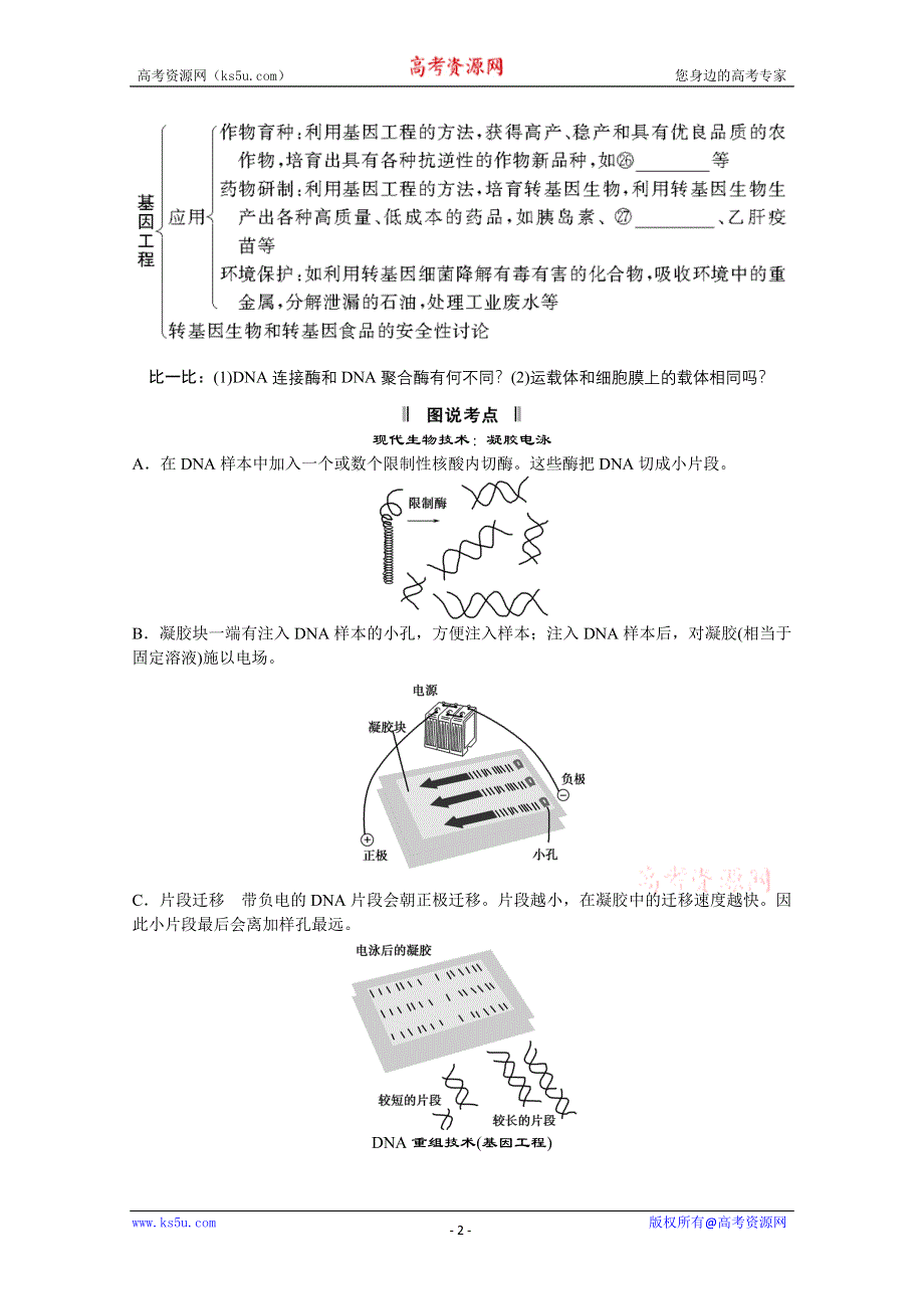 2013届高考生物一轮复习讲义：2.3.3从杂交育种到基因工程.doc_第2页