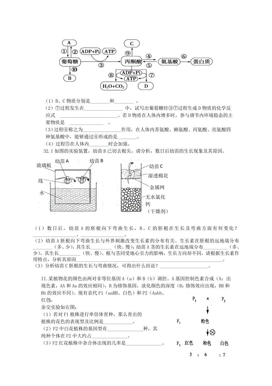 四川省成都市新都一中2012届高三2月月考考试生物试题.doc_第3页