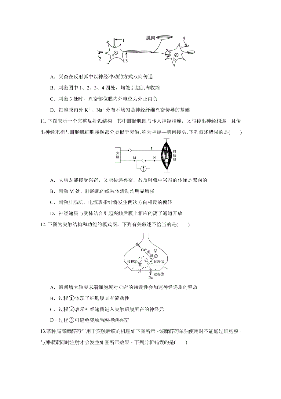 吉林省延边第二中学2020-2021学年高二上学期第一次考试月考生物试题 WORD版含答案.docx_第3页