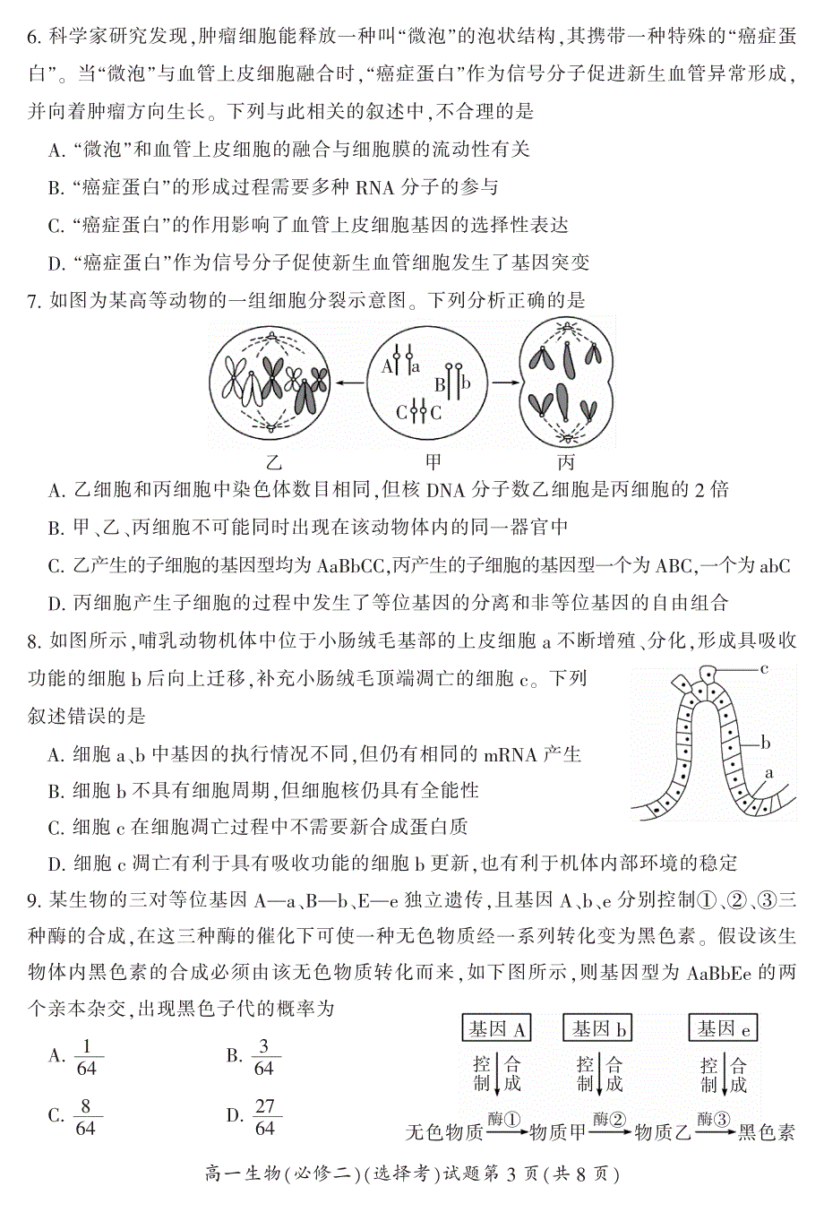 湖南省郴州市2021-2022学年高一下学期期末考试生物试卷PDF版含答案.pdf_第3页