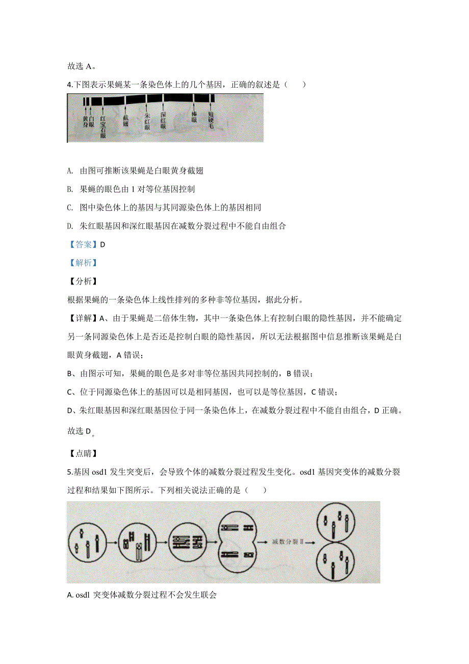 山东省临沂市2019-2020学年高一下学期期末考试生物试卷 WORD版含解析.doc_第3页