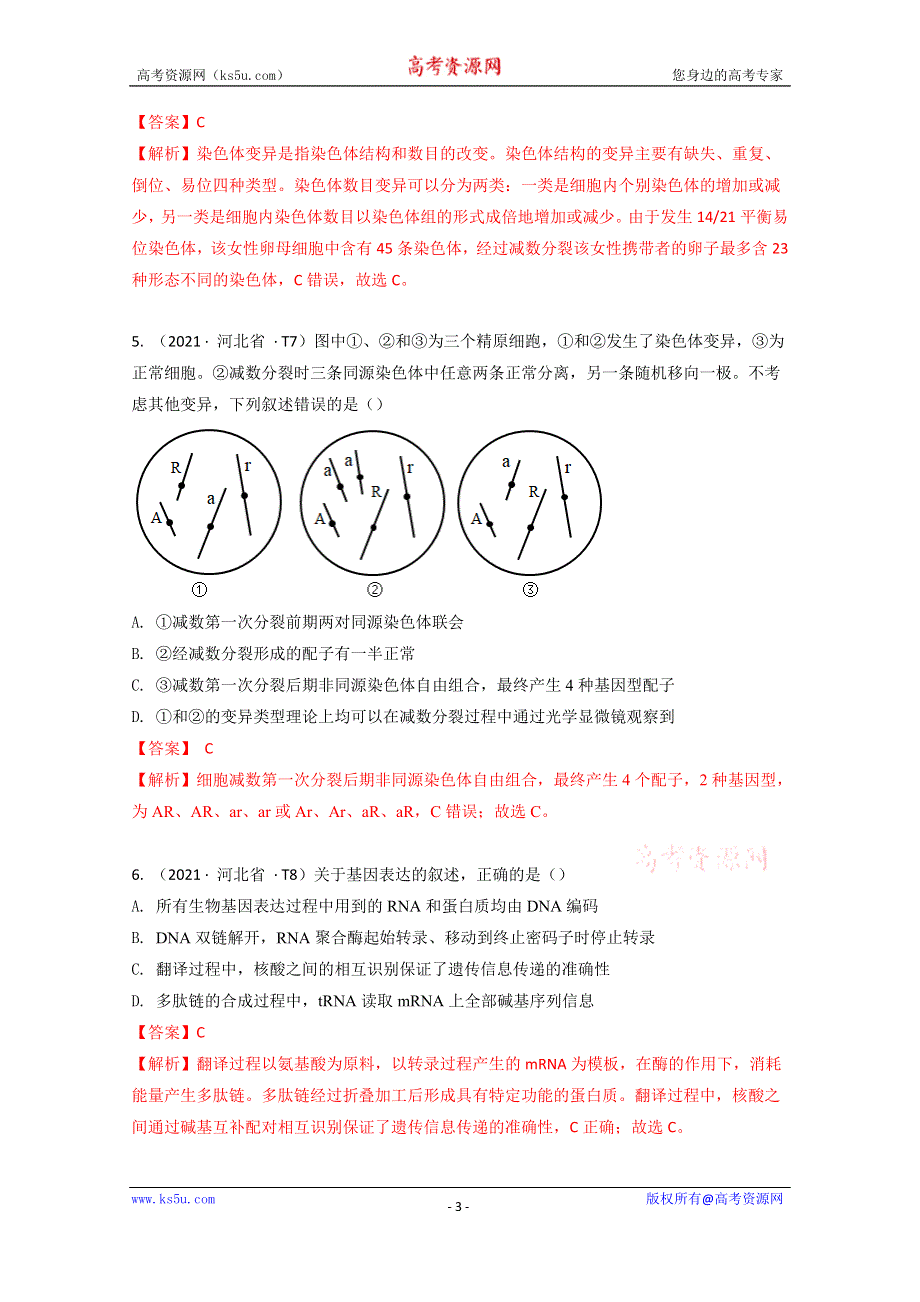 《推荐》2021年高考真题和模拟题分类汇编 生物 专题06 遗传的分子基础 WORD版含解析.docx_第3页