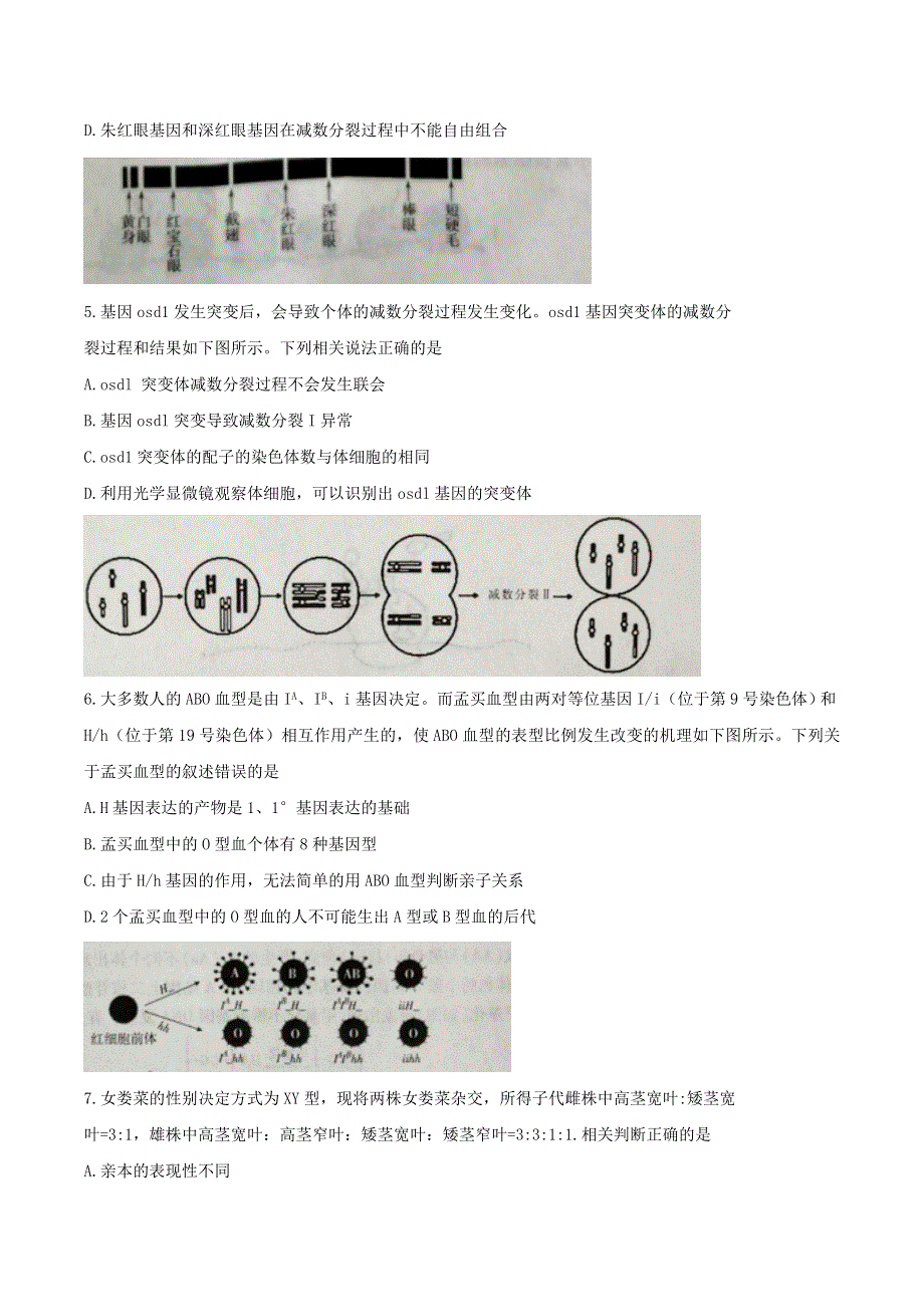 山东省临沂市2019-2020学年高一生物下学期期末考试试题.doc_第2页