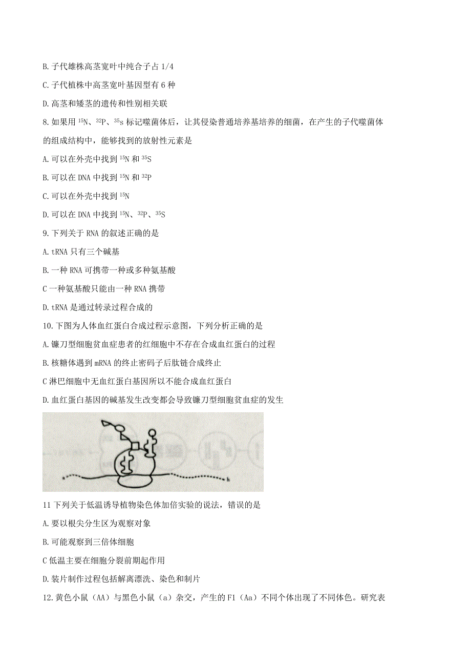 山东省临沂市2019-2020学年高一生物下学期期末考试试题.doc_第3页