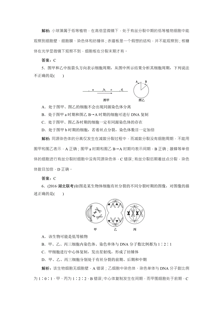 《优化探究》2017届高三生物（人教版）高考一轮复习课时作业：第四单元 第一讲　细胞的增殖 WORD版含答案.doc_第2页