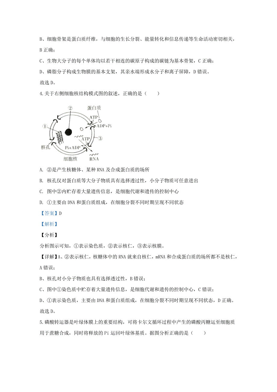 山东省临沂市2019-2020学年高二生物下学期期末考试试题（含解析）.doc_第3页