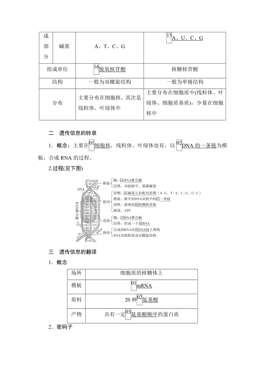 2021届新高考生物一轮复习（选择性考试A方案）学案：必修2 第6单元 第21讲 基因的表达 WORD版含解析.doc_第3页