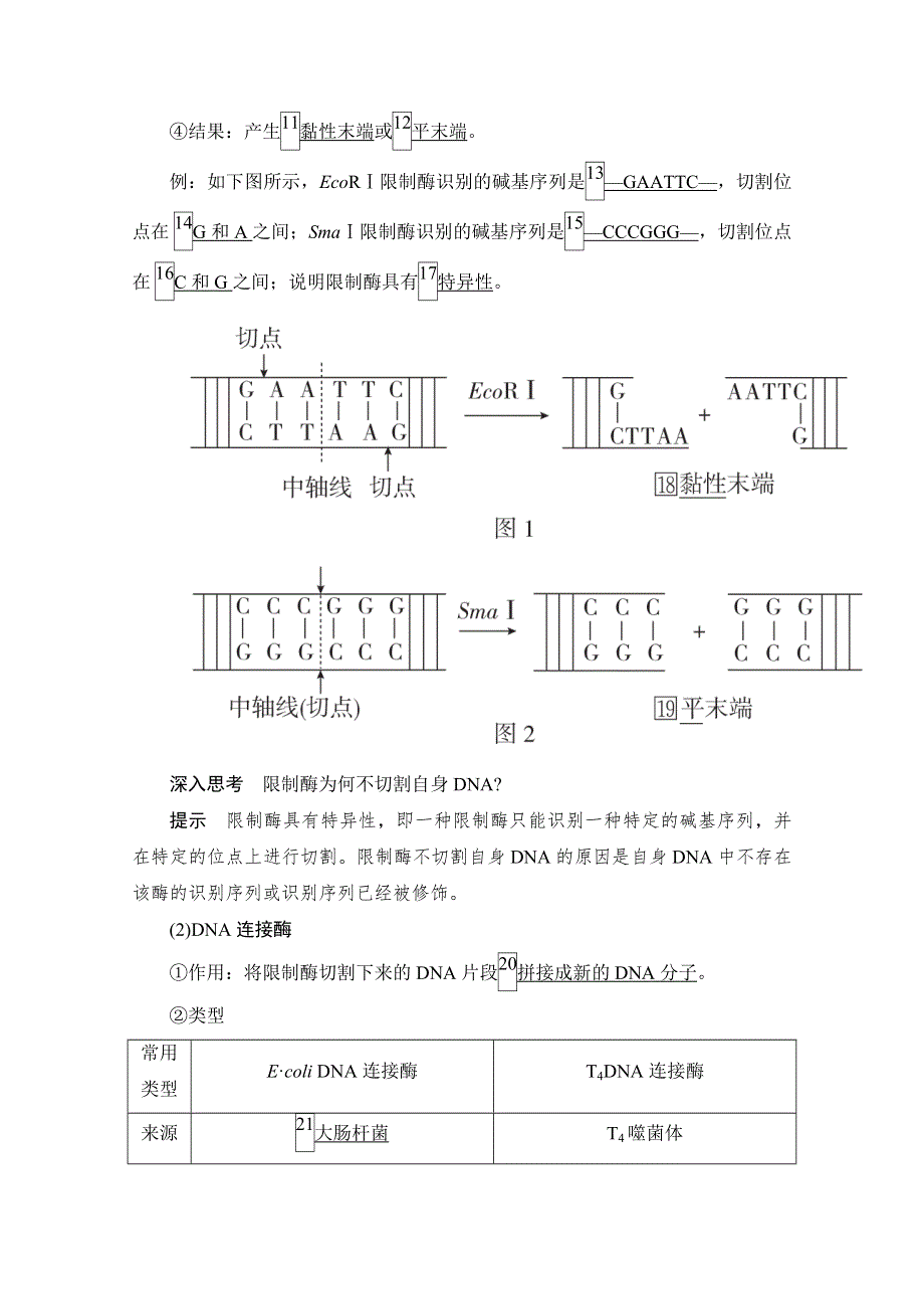 2021届新高考生物一轮复习（选择性考试A方案）学案：选修3 第10单元　第35讲　基因工程 WORD版含解析.doc_第2页