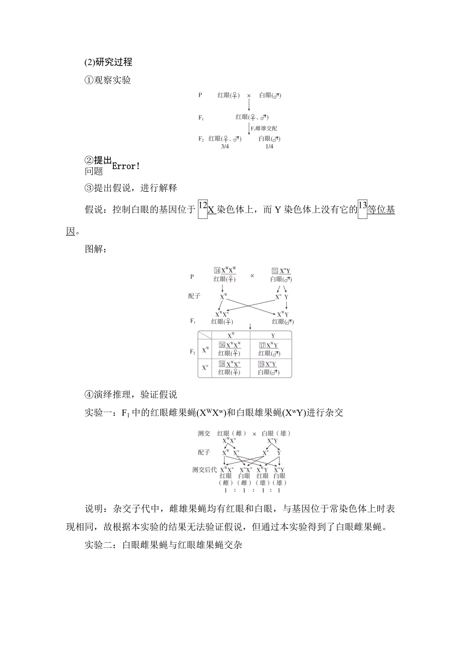 2021届新高考生物一轮复习（选择性考试A方案）学案：必修2 第5单元 第17讲 基因在染色体上和伴性遗传 WORD版含解析.doc_第3页