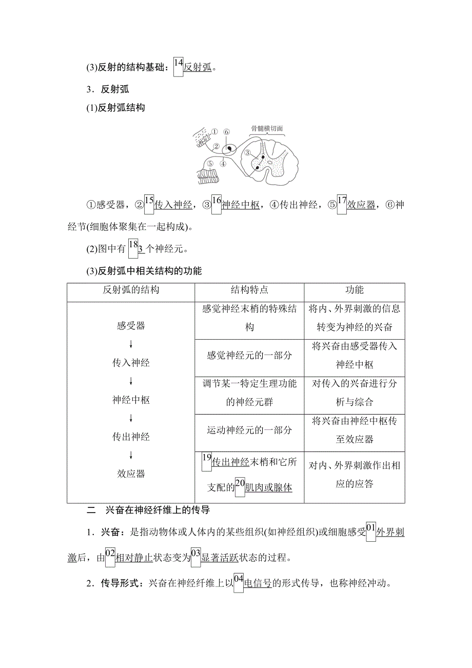 2021届新高考生物一轮复习（选择性考试A方案）学案：必修3 第8单元　第26讲　通过神经系统的调节 WORD版含解析.doc_第3页