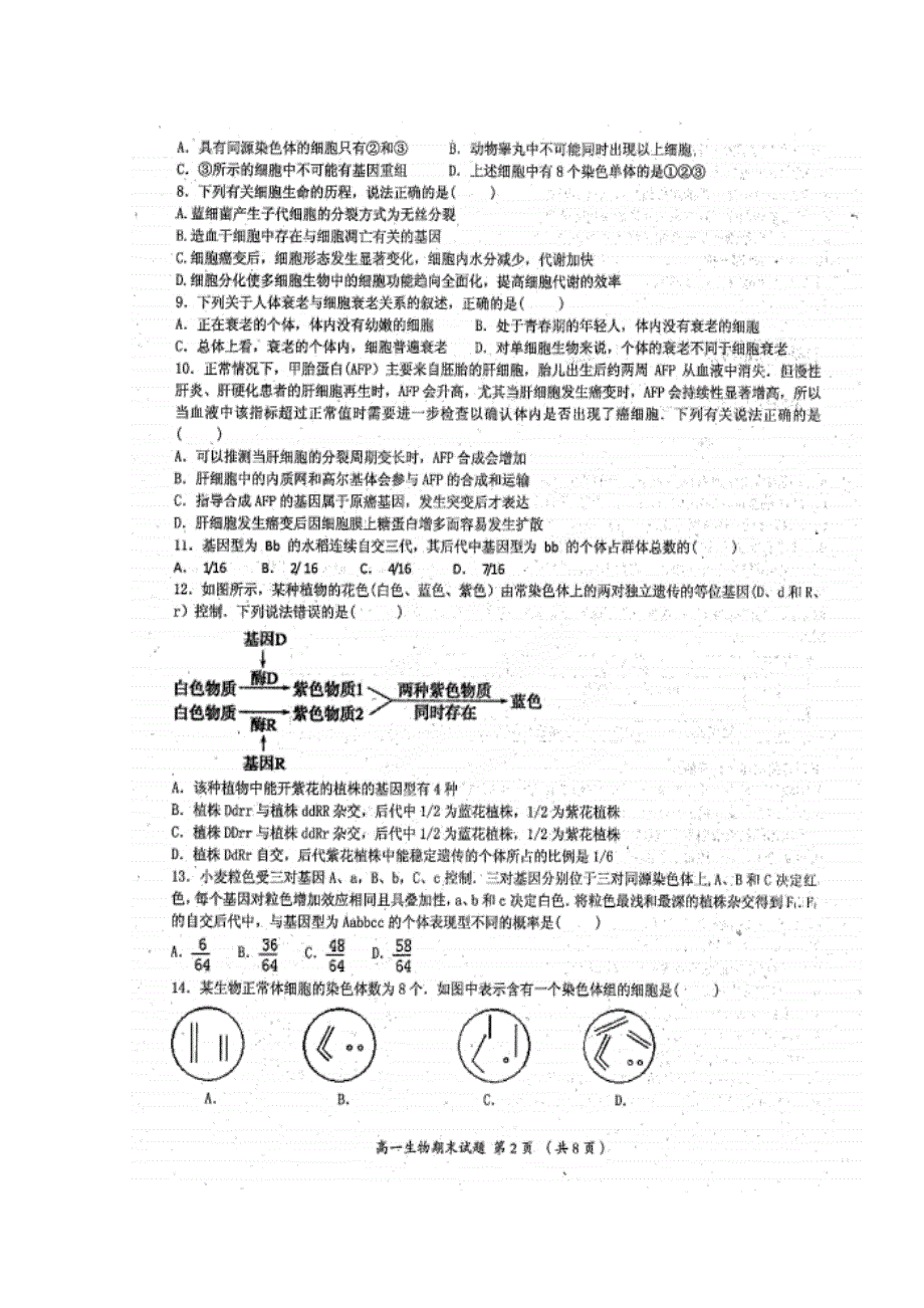 四川省成都市温江区2015-2016学年高一下学期期末考试生物试题 扫描版缺答案.doc_第2页