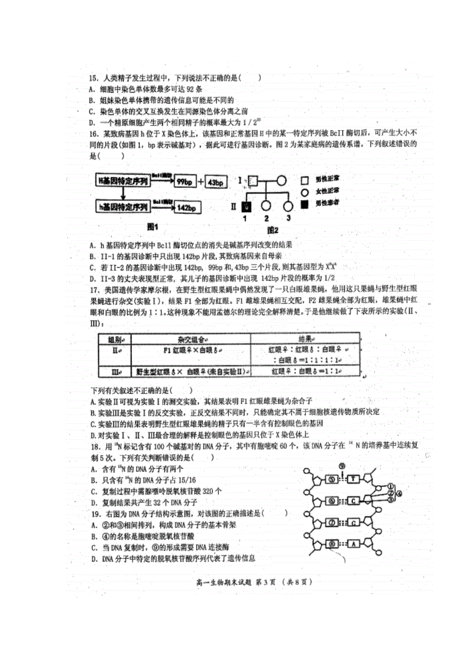 四川省成都市温江区2015-2016学年高一下学期期末考试生物试题 扫描版缺答案.doc_第3页