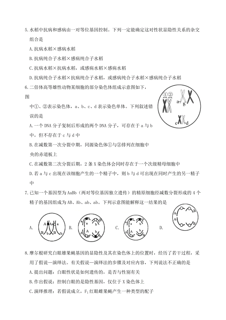 山东省临沂市罗庄区2021-2022学年高一下学期5月期中考试生物试题（民办） WORD版含答案.doc_第2页