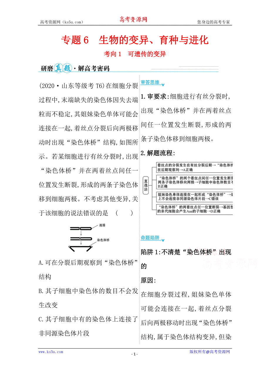 2021届新高考生物山东专用二轮考前复习学案：第一篇 专题6 考向1 可遗传的变异 WORD版含解析.doc_第1页