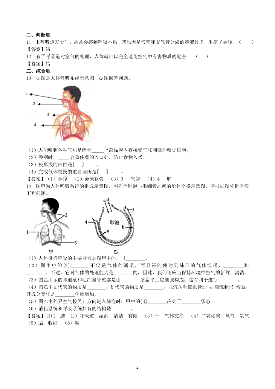 人教版初一生物下册：第3章第一节《呼吸道对空气的处理》同步测试2.doc_第2页