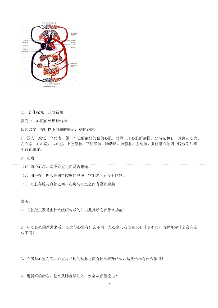 人教版初一生物下册：第4章第三节《输送血液的泵——心脏》学案1.doc_第2页