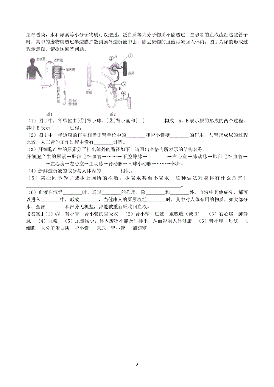 人教版初一生物下册：第5章《人体内废物的排出》同步测试1.doc_第3页