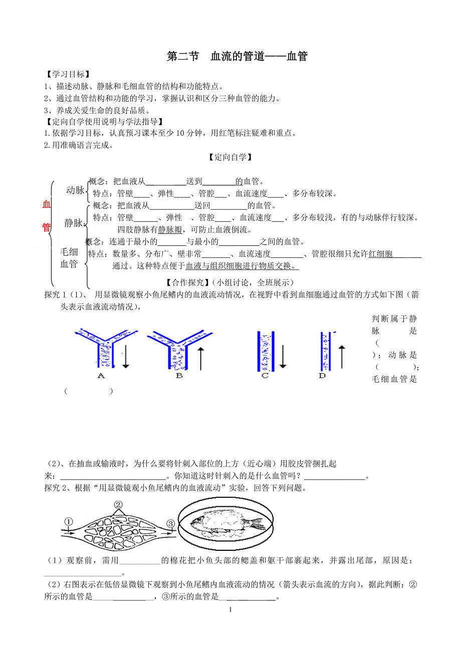 人教版初一生物下册：第4章第二节《血流的管道——血管》学案2.doc_第1页