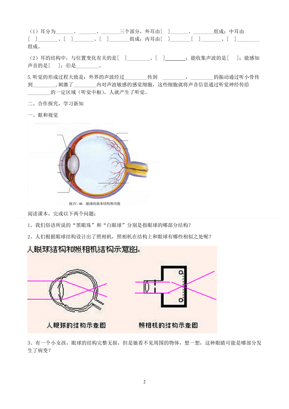 人教版初一生物下册：第6章第一节《人体对外界环境的感知》学案2.doc_第2页