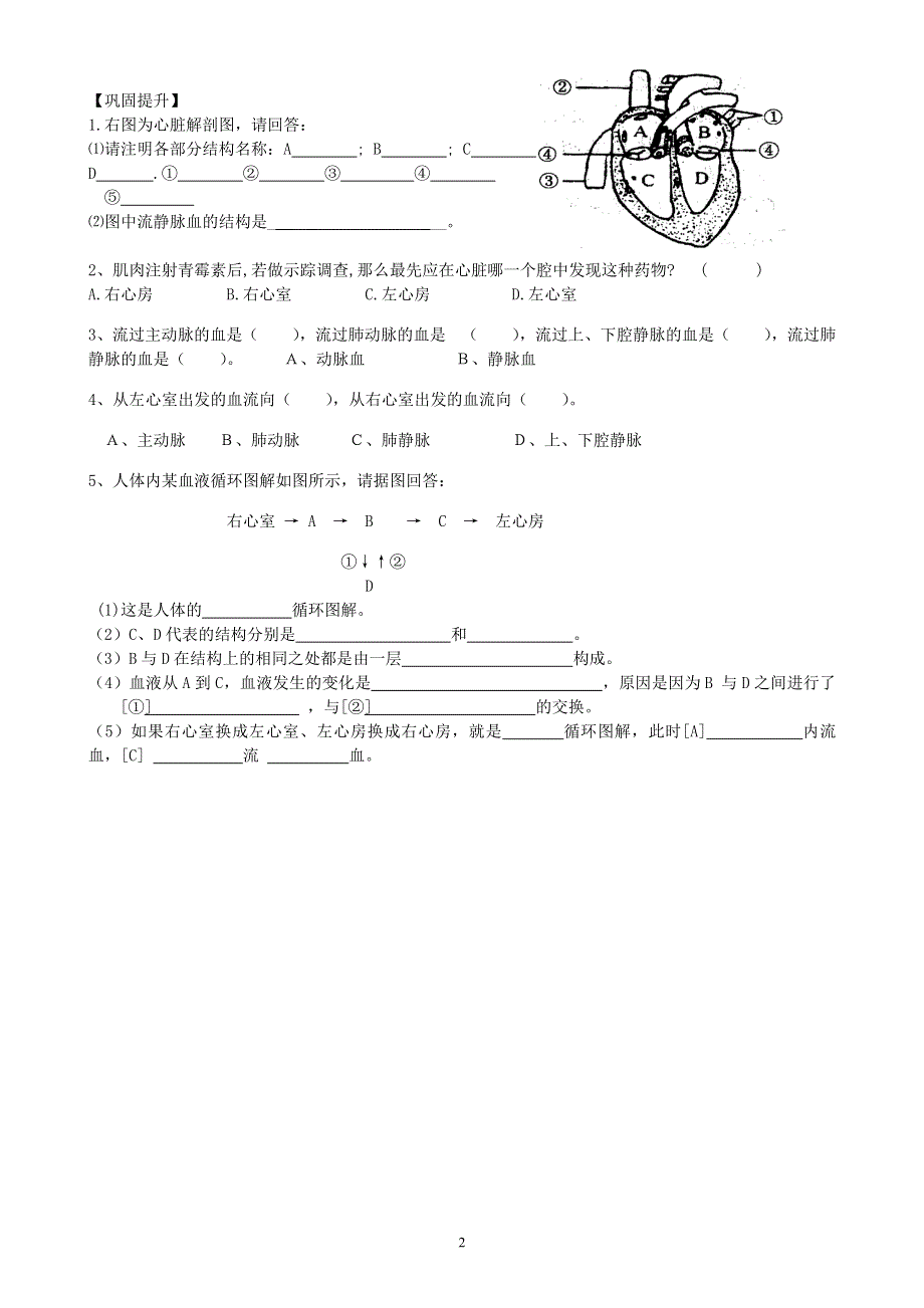 人教版初一生物下册：第4章第三节《输送血液的泵——心脏》学案2（课时2）.doc_第2页