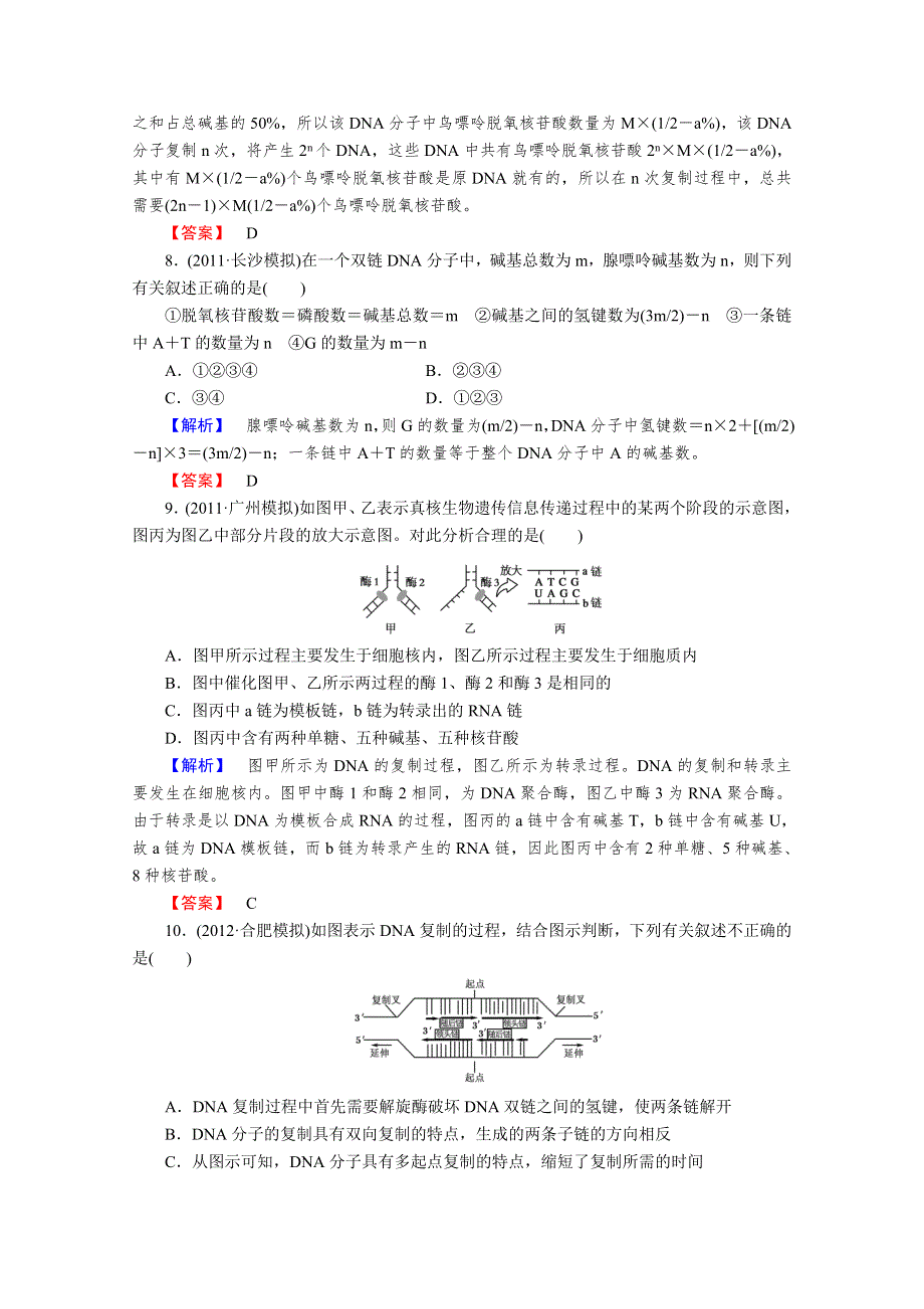 2013届高考生物一轮复习课时作业：19DNA分子的结构.doc_第3页