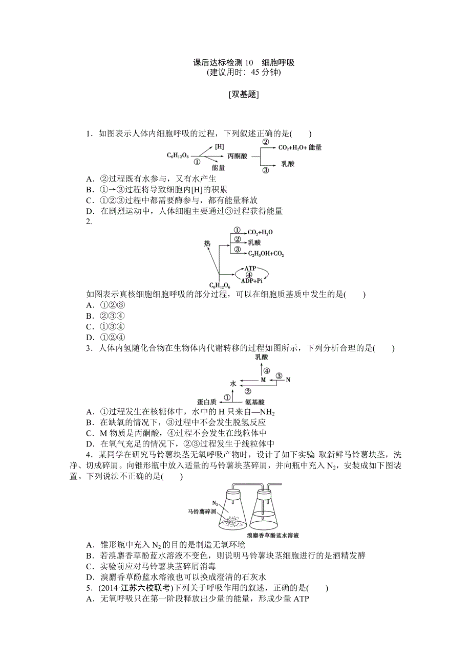 《优化方案》2015高考生物（苏教版）一轮课后达标检测10　细胞呼吸.DOC_第1页