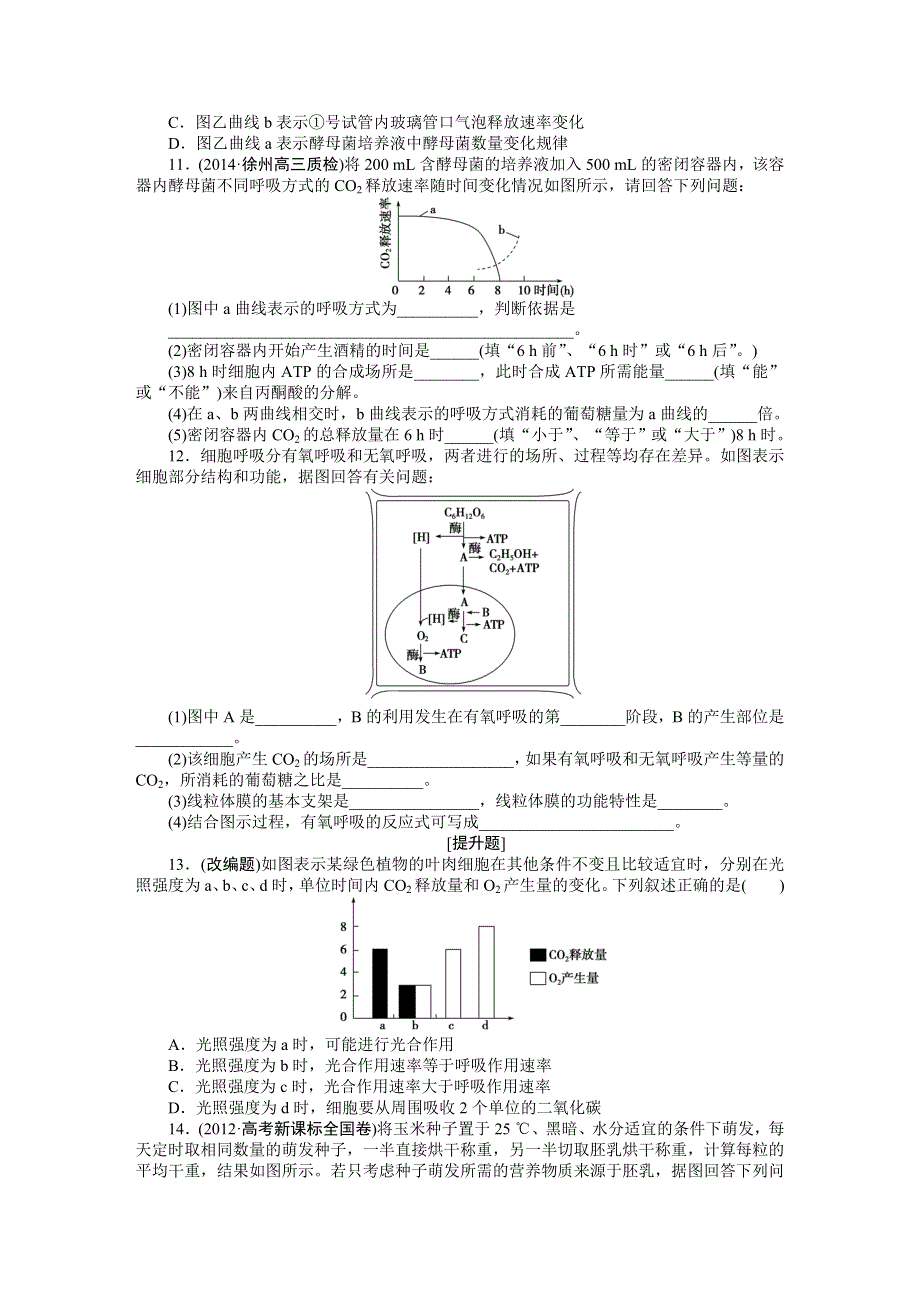 《优化方案》2015高考生物（苏教版）一轮课后达标检测10　细胞呼吸.DOC_第3页