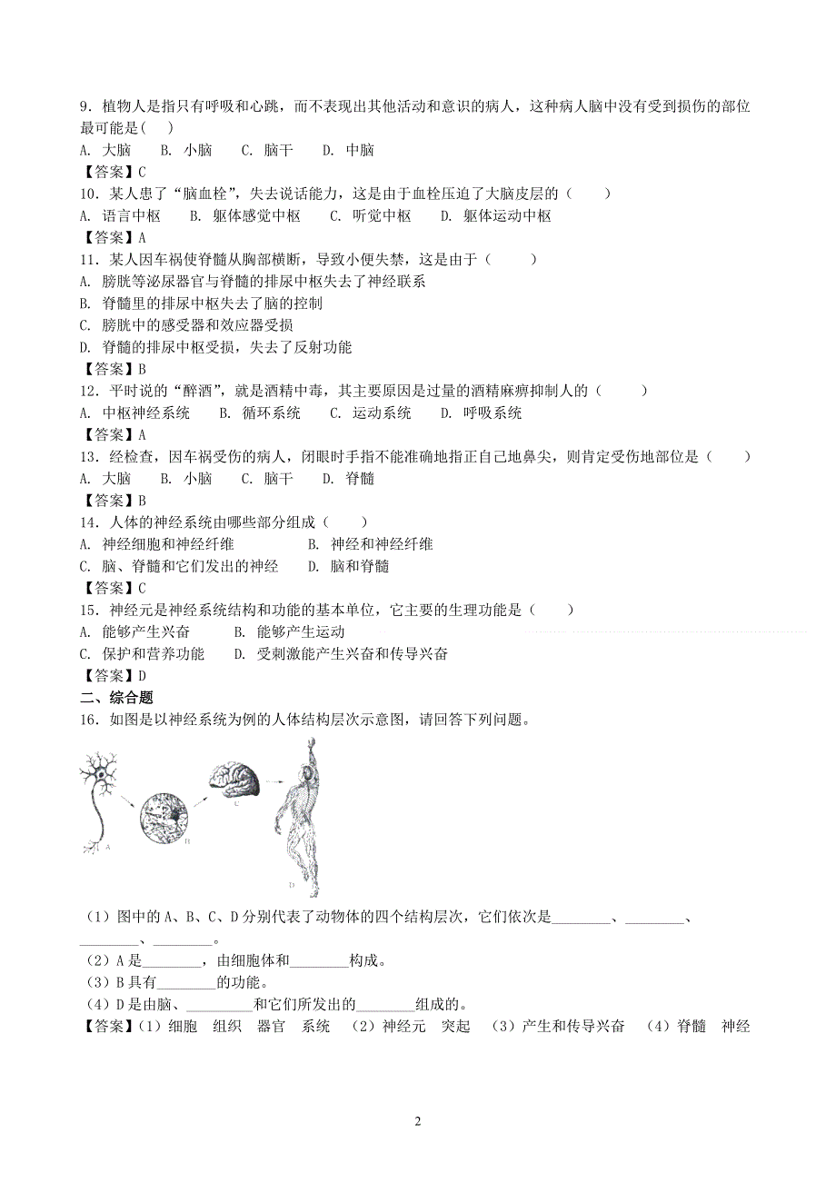 人教版初一生物下册：第6章第二节《神经系统的组成》同步测试2.doc_第2页