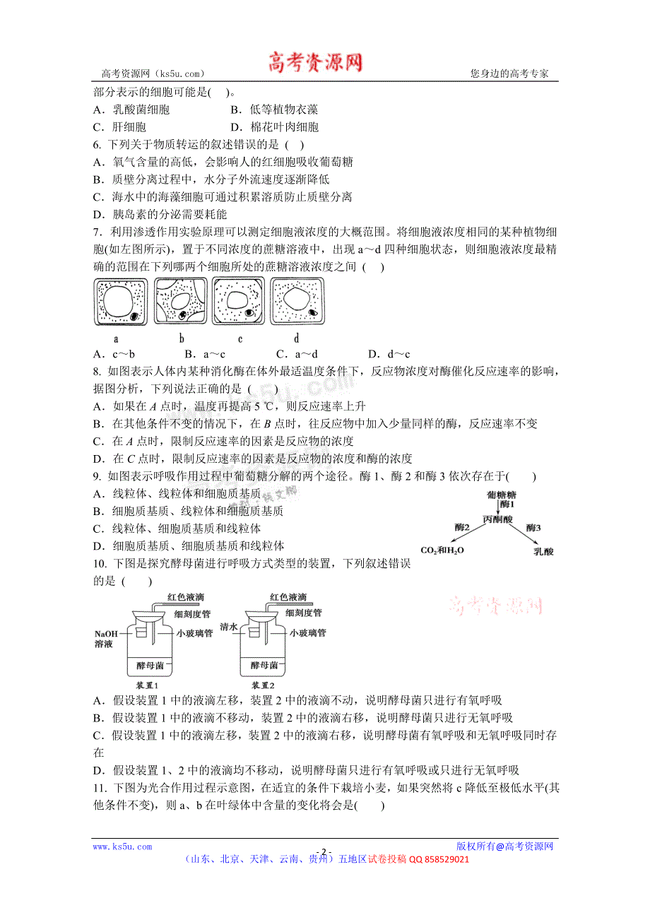 山东省临沂市郯城一中2013届高三上学期期末考试生物试题 WORD版含答案.doc_第2页