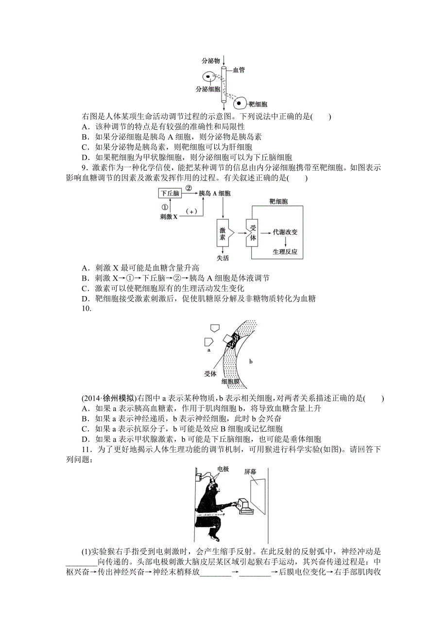 《优化方案》2015高考生物（苏教版）一轮课后达标检测28　人体和动物的激素调节.DOC_第2页