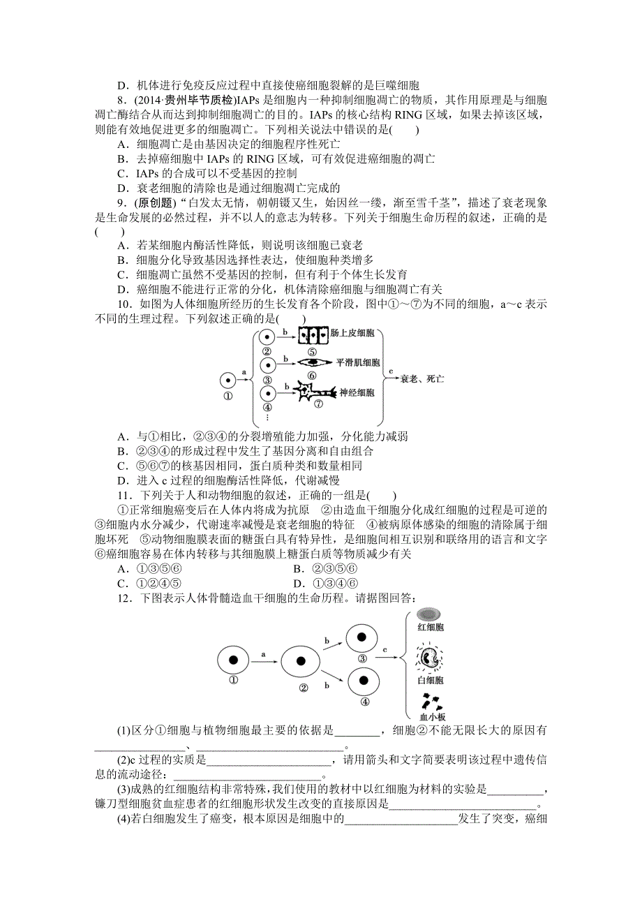 《优化方案》2015高考生物（苏教版）一轮课后达标检测12　细胞分化、衰老、凋亡及癌变.DOC_第2页