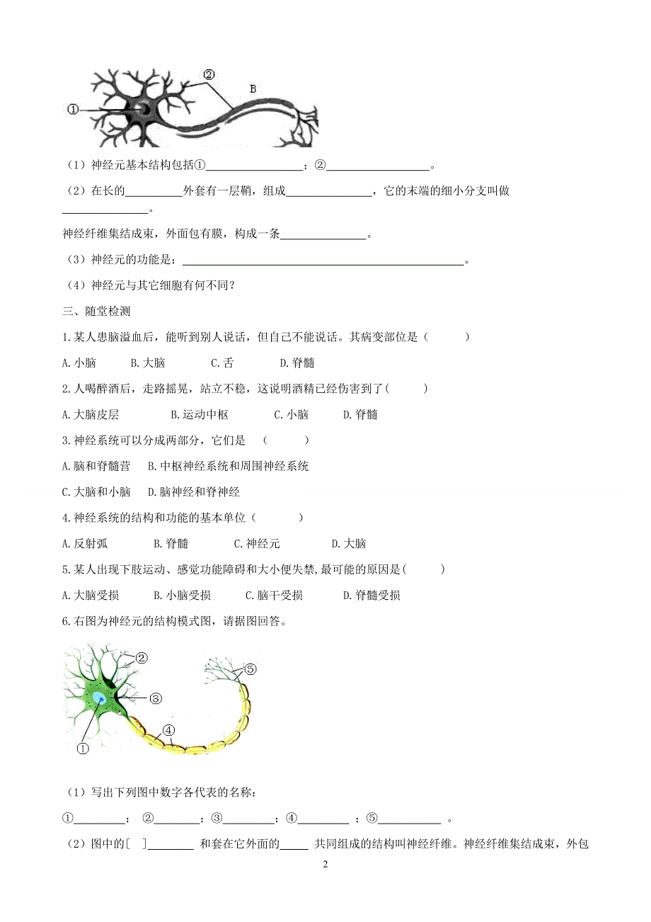 人教版初一生物下册：第6章第二节《神经系统的组成》学案1.doc_第2页