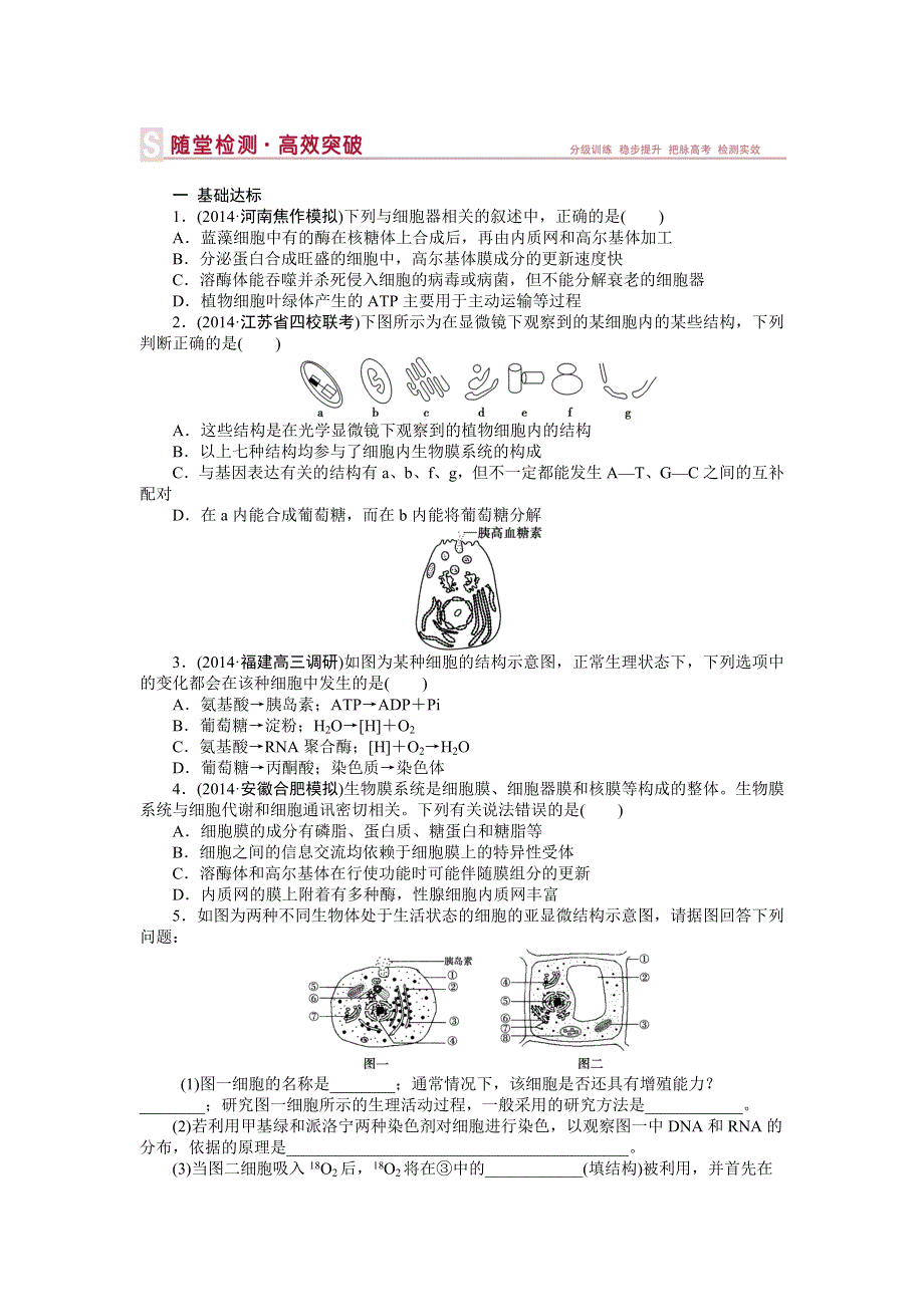 《优化方案》2015高考生物（苏教版）一轮随堂检测：第6讲 细胞的类型和结构（二）——细胞质和细胞器、生物膜系统.doc_第1页