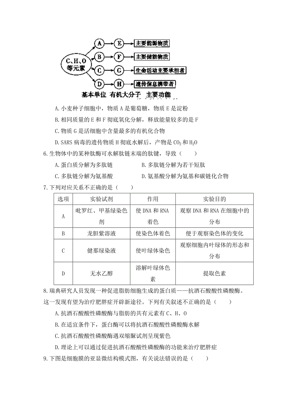 山东省临沂市郯城一中2014届高三12月月考 生物试题 WORD版含答案.doc_第2页