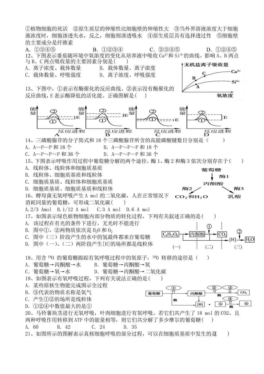 山东省临沂第一中学2015-2016学年高一下学期寒假自主学习（收心）调研生物试题 WORD版含答案.doc_第2页