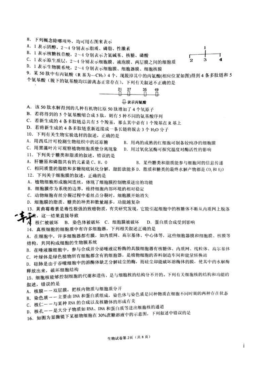 山东省临沂第一中学2015-2016学年高一上学期期末考试（第四次诊断）生物试题 扫描版含答案.doc_第2页