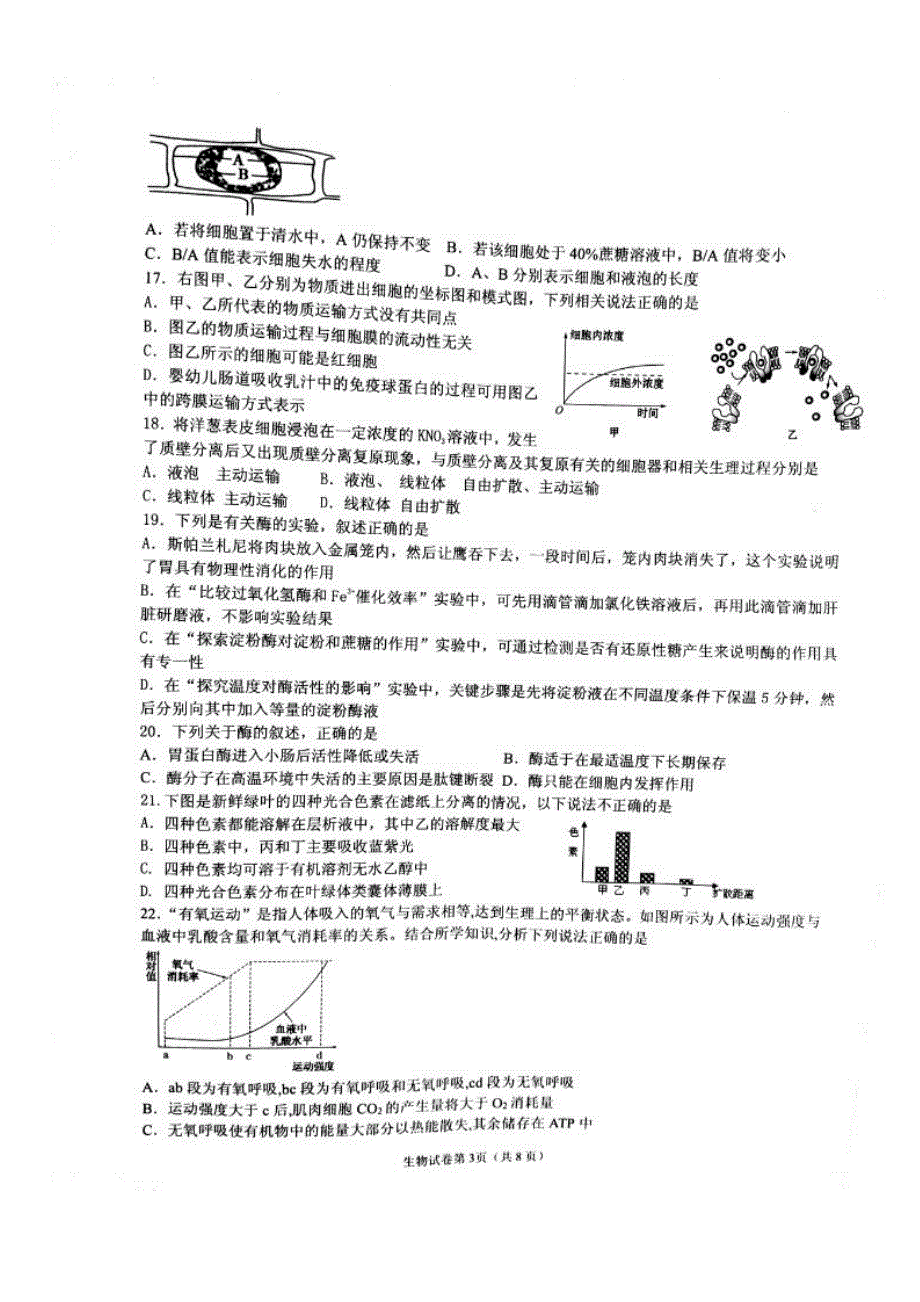 山东省临沂第一中学2015-2016学年高一上学期期末考试（第四次诊断）生物试题 扫描版含答案.doc_第3页