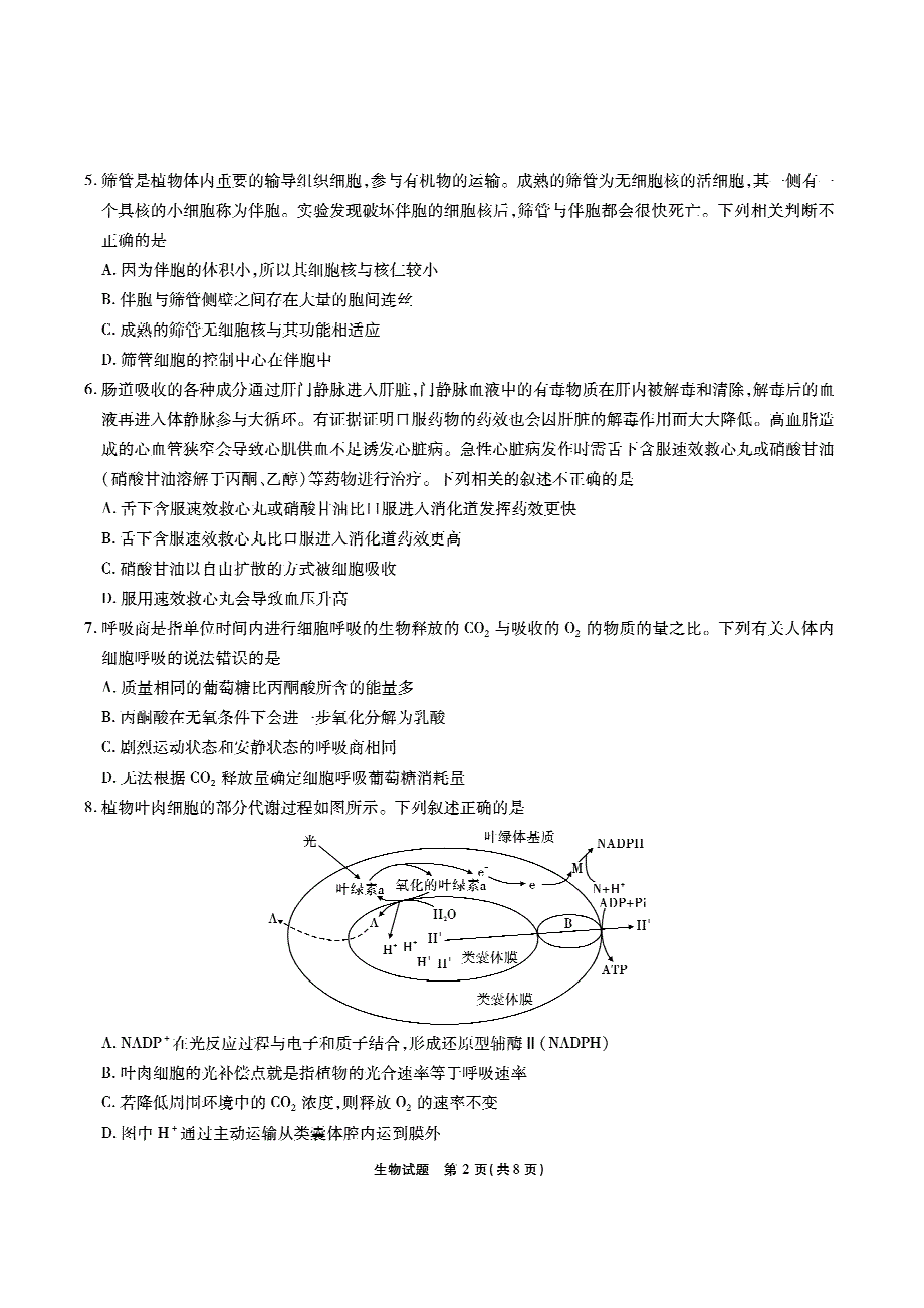 安徽省江淮十校2022届高三上学期第一次联考生物试题 PDF版含答案.pdf_第2页