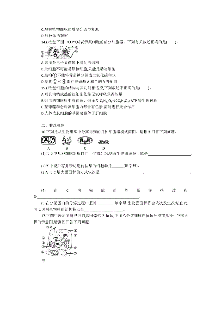 2013届高考生物一轮复习限时作业：6细胞器.doc_第3页