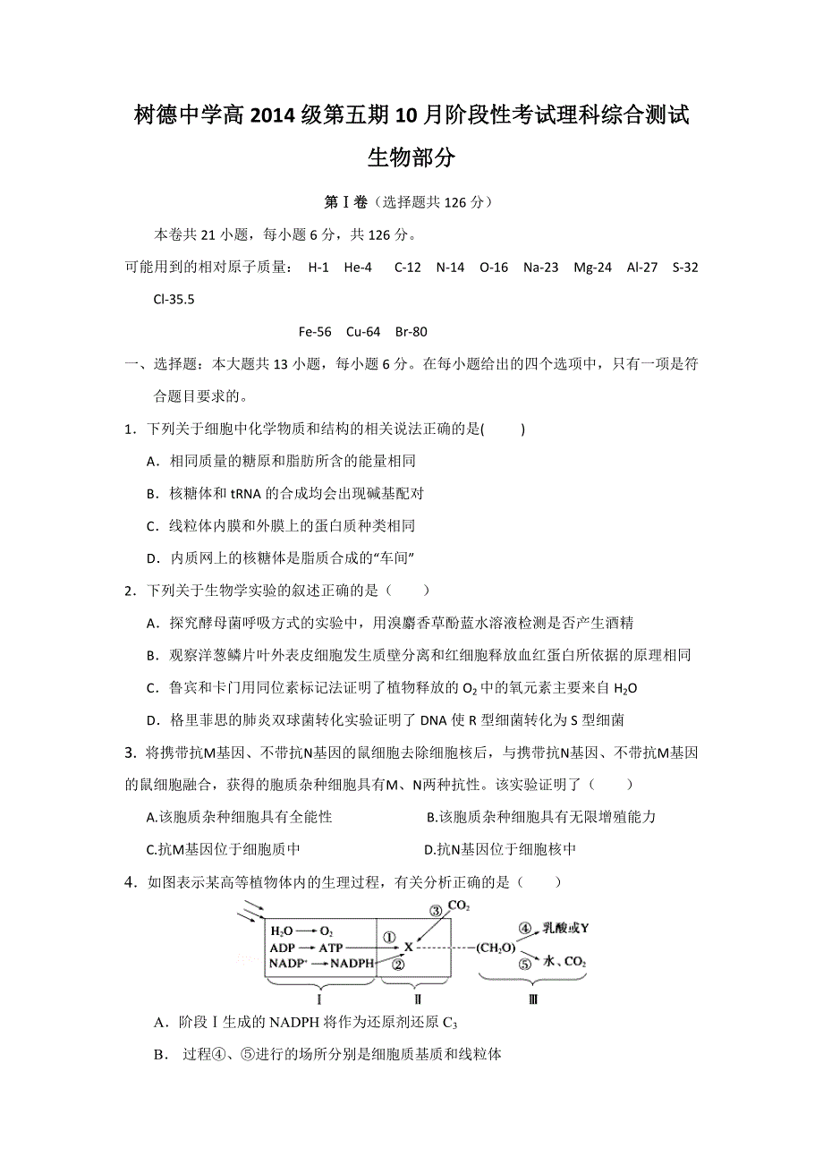 四川省成都市树德中学2017届高三10月月考生物试题 WORD版含答案.doc_第1页