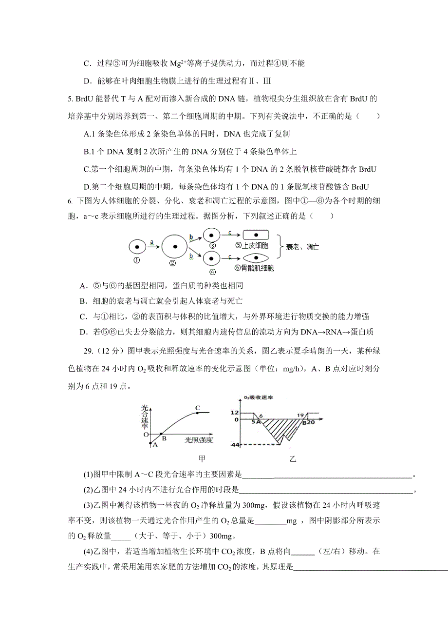 四川省成都市树德中学2017届高三10月月考生物试题 WORD版含答案.doc_第2页