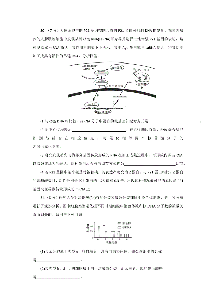 四川省成都市树德中学2017届高三10月月考生物试题 WORD版含答案.doc_第3页