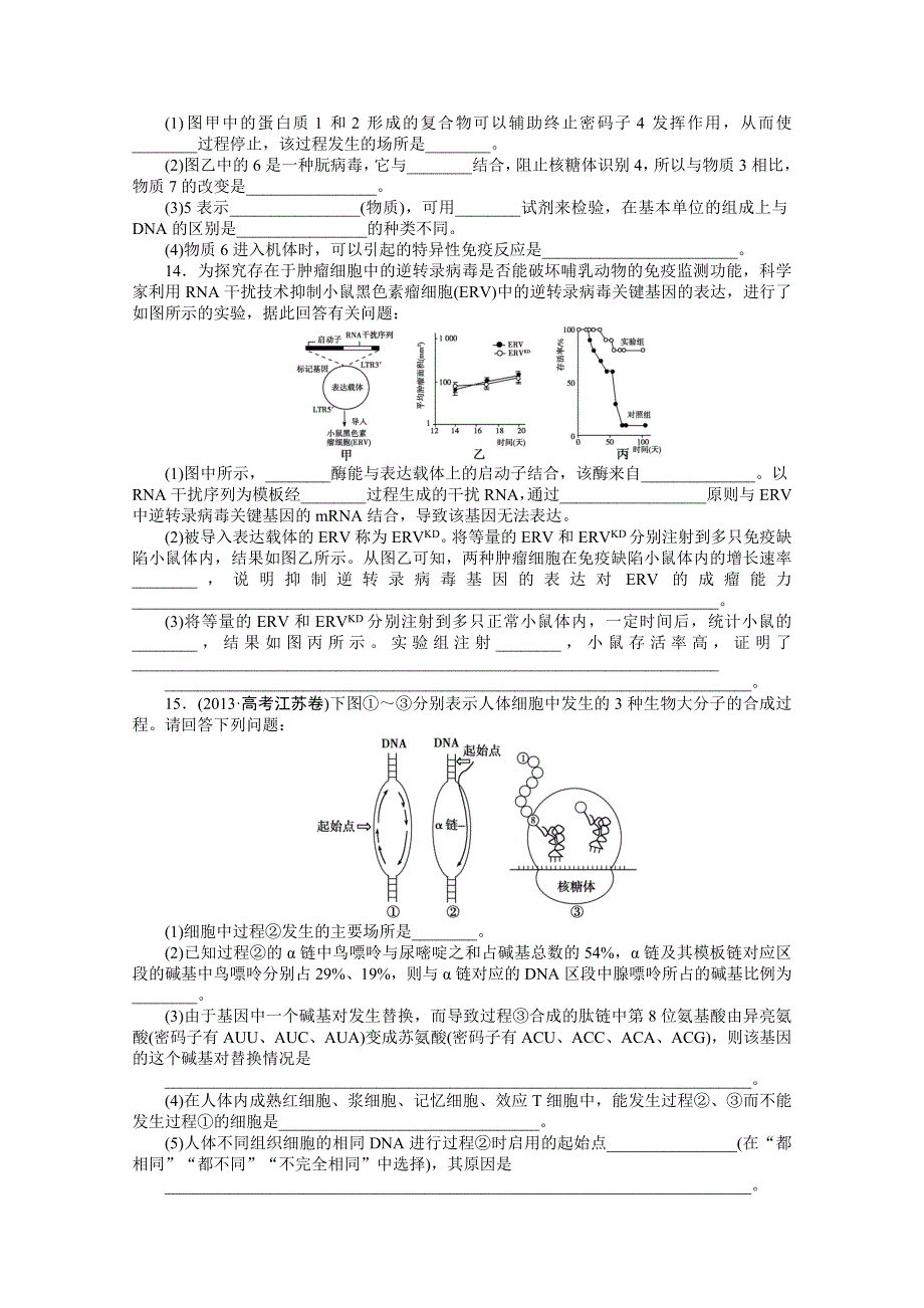 《优化方案》2014届高考生物二轮专题强化训练：专题四第1讲 遗传的物质基础 WORD版含解析.doc_第3页