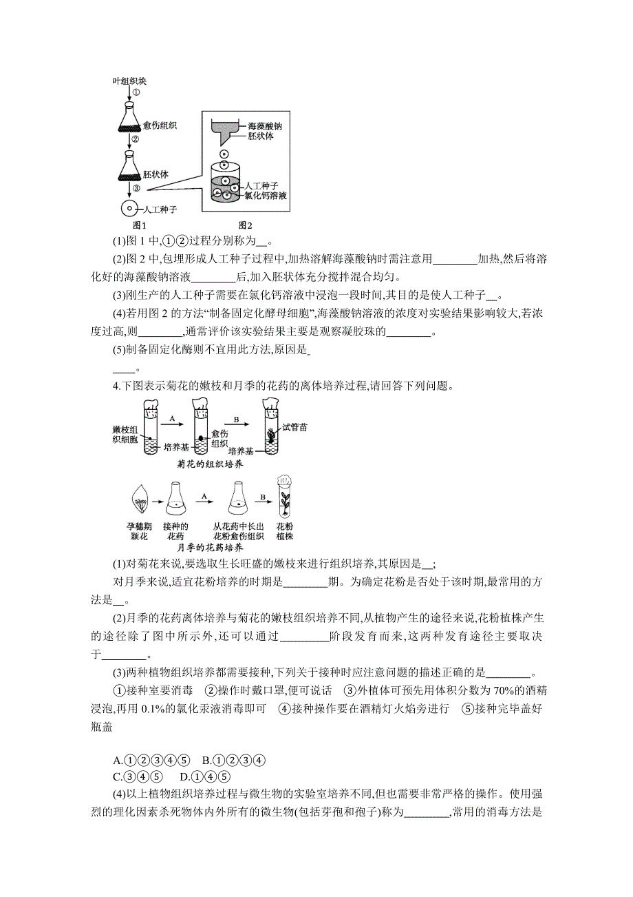 2013届高考生物一轮复习限时作业：39植物的组织培养技术酶的研究与应用.doc_第2页