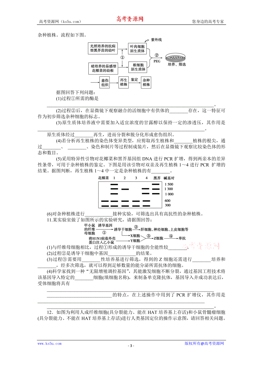 《优化方案》2014届高考生物二轮专题强化训练：专题九第1讲 基因工程和细胞工程 WORD版含解析.doc_第3页