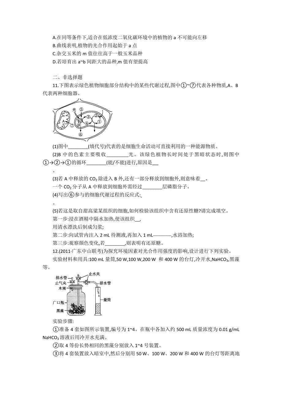 2013届高考生物一轮复习限时作业：11光与光合作用.doc_第3页