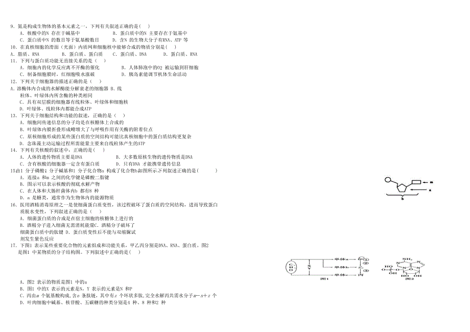 四川省成都市树德中学2020-2021学年高一生物上学期12月阶段性测试试题.doc_第2页