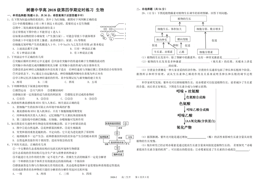 四川省成都市树德中学2019-2020学年高二下学期定时练习生物试题 PDF版缺答案.pdf_第1页